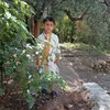 user23527002111533