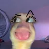 sidrah_67
