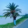 bpboys0.2