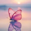darya.m53