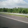li.phan798