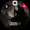 nsk1393