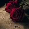 arwa49906