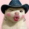 fttoop6