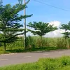 2507bn_0611