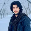 danish_afghan_