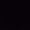 muha_7887