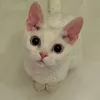 yuhcsdbkp