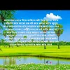 rahimakhatun0291