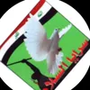malik.hamed79