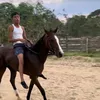 jandryortiz29