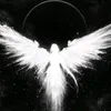 angle.eclipse0