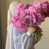 fatuma4831