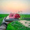 mimmimi575