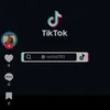 user8481410351379