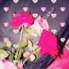 taniay.akter.sath