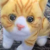 toyboss.my