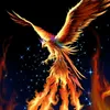 avefenix9616