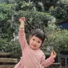 daotrinhjngocanh2017