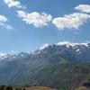 hamasalar123