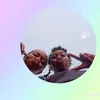 missdrammma