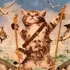 hmmmxdddd