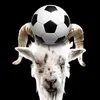 footballcrush23