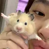 achumakala2