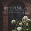 sajae620