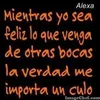pamelanorea