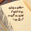 tabassum41437