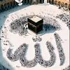 imran06639