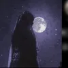 12.31www0