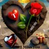 suleekha.ibrahim2