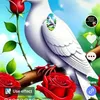 user7495137361626