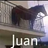papitagamerxd7