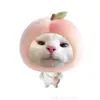 bubblesi_