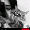 rim_bd3