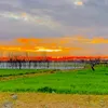 haisamkhan055