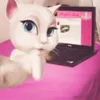 candan.melis
