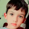 malikshahzain243