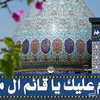 user8216577256801