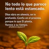 tuy_367