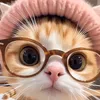 user77905881792025