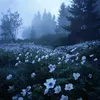 _arina_oblaukhov