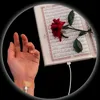 quran.majeed5629