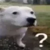 euckce
