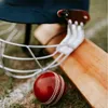 cricket464645