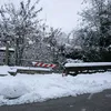 rajawiya983
