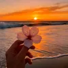 yaraassaad_7